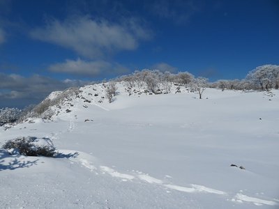 トレースを辿って青のドリーネへ