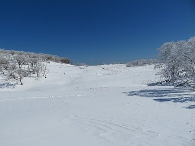 素晴らしい雪景色