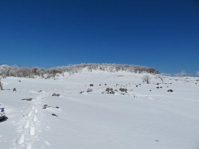 振り返って名残惜しむ