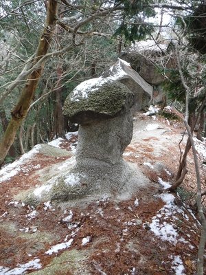 一ノ谷新道のキノコ岩