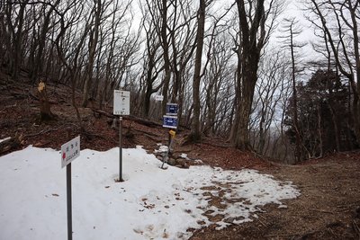 白瀬峠.jpg (595.53 KiB) 閲覧された回数 3016 回 白瀬峠