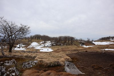 頂上台地.jpg (378.88 KiB) 閲覧された回数 3014 回 頂上台地