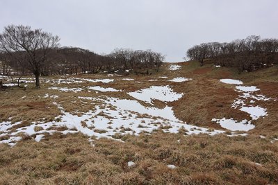 青のドリーネ.jpg (512.08 KiB) 閲覧された回数 3016 回 青のドリーネ