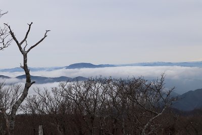 伊吹山.jpg (282.56 KiB) 閲覧された回数 3016 回 伊吹山