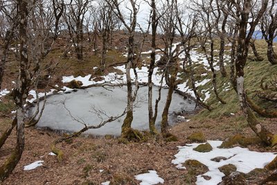 幸助の池.jpg (670.01 KiB) 閲覧された回数 3014 回 幸助の池