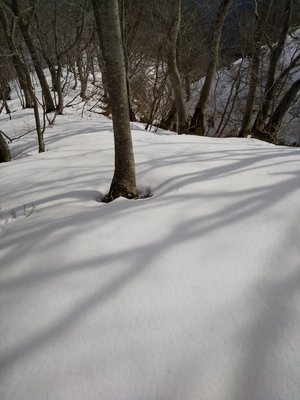 雪たっぷりあるように見えますね。