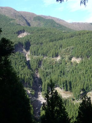 ヌタハラ林道と崩落沢