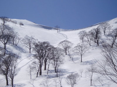 16年前のシリセードのシュプール