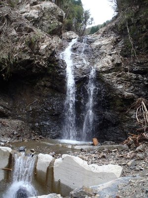 緑濃かった滝も哀れ