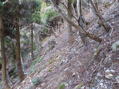 こんな斜面のトラバース