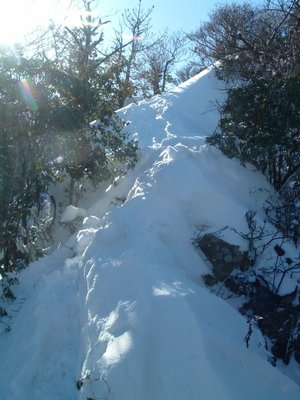 2006_0129画像0012.jpg (123.62 KiB) 閲覧された回数 9485 回 痩せ尾根