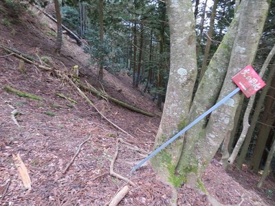 陣尾山の北の鞍部で標識。ここで正解のようです。
