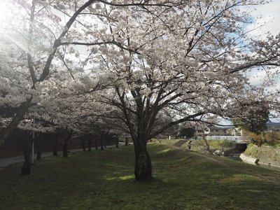 宝ヶ池公園にて