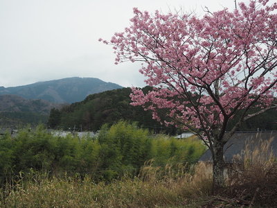 岩倉から比叡山を望んで