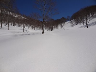 小原峠はもうすぐですがタイムアップで泣く泣く引き返す