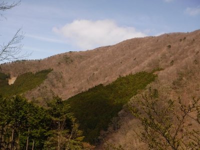 4/19に歩いた山肌。