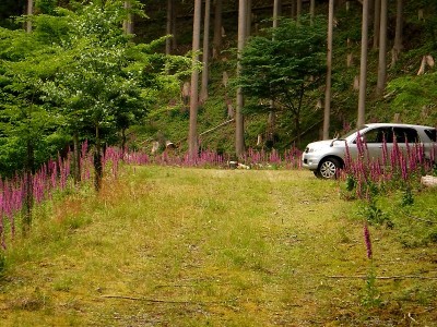 夫婦滝展望作業広場