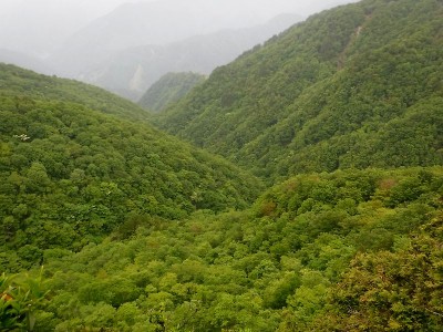 展望台から見下ろすヌタハラ谷