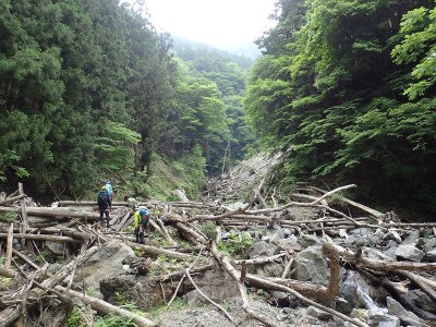 P6060008_800.jpg (254.03 KiB) 閲覧された回数 12459 回 夫婦滝下は倒木だらけ