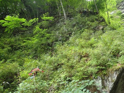 夫婦滝下段の巻き