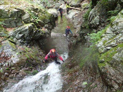 P6060026_800.jpg (241.66 KiB) 閲覧された回数 12459 回 時には直登も