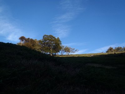 20111001-21.jpg