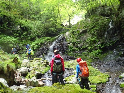 P6060046_800.jpg (270.49 KiB) 閲覧された回数 12464 回 緑が美しい