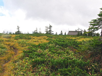 ● ６時間の登りでヒュッテが見えたよホッ