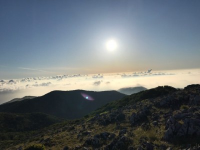 898B512D-6C65-455E-9E92-2DCE1336022B.jpeg (45.83 KiB) 閲覧された回数 3271 回 何度も振り返る