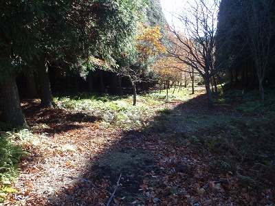 やさしい佇まいの山ノ神峠