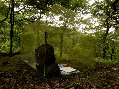 panaちゃんランチ場