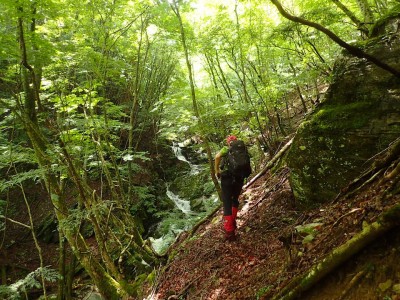 P6209271-1.jpg (244.52 KiB) 閲覧された回数 4048 回 ゼエノ谷魚止滝