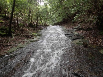 P6200032.jpg (114.71 KiB) 閲覧された回数 4399 回 右俣のナメ