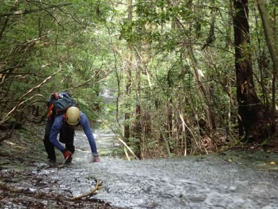 P6200039.jpg (113.44 KiB) 閲覧された回数 4399 回 ナメを登るmichiさん