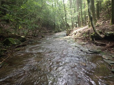 P6200047.jpg (117.39 KiB) 閲覧された回数 4399 回 赤倉谷側のナメ