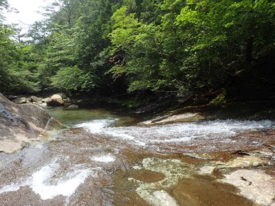 P6200048.jpg (110.27 KiB) 閲覧された回数 4399 回 三俣