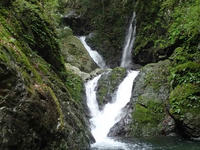 P6210084.jpg (97.87 KiB) 閲覧された回数 3063 回 最初の連瀑帯