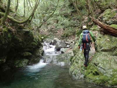 P6210101.jpg (100.03 KiB) 閲覧された回数 3065 回 源流部