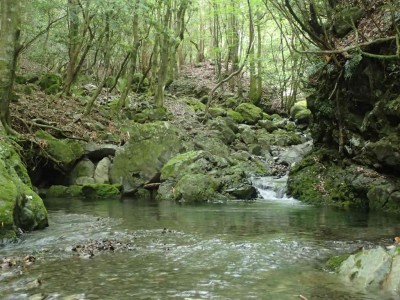 P6210105.jpg (101.15 KiB) 閲覧された回数 3063 回 源流部