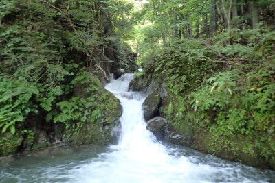 最初のゴルジュ入口、前回は突破したが・・・