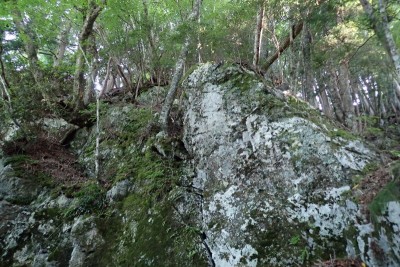 これは巻きました