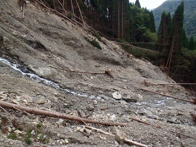 新谷右岸堆積上から林道下る方向を見る。