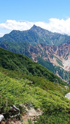 槍ヶ岳 - コピー.jpg