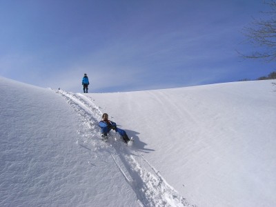ドリーネでシリセード