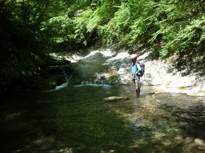 台高　黒倉又にて　その１