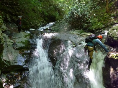 台高　黒倉又にて　その２