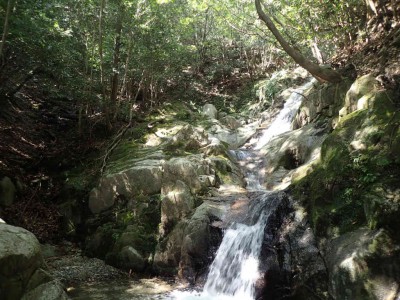 P9300007.jpg (108.39 KiB) 閲覧された回数 4236 回 五階滝