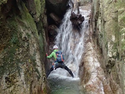 P9300019.jpg (87.15 KiB) 閲覧された回数 4241 回 倒木が刺さる滝