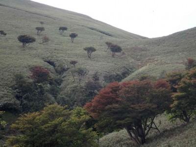 P9300029.jpg (71.77 KiB) 閲覧された回数 4241 回 源頭部から竜ヶ岳を望む