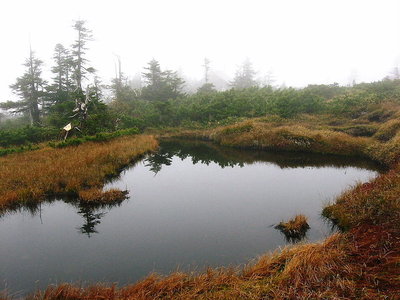 ● 小屋がボンヤリ見えるでしょ、全然違うﾓﾝ絵